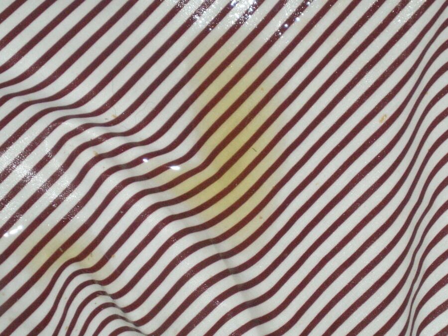 maroon striped blouse piss