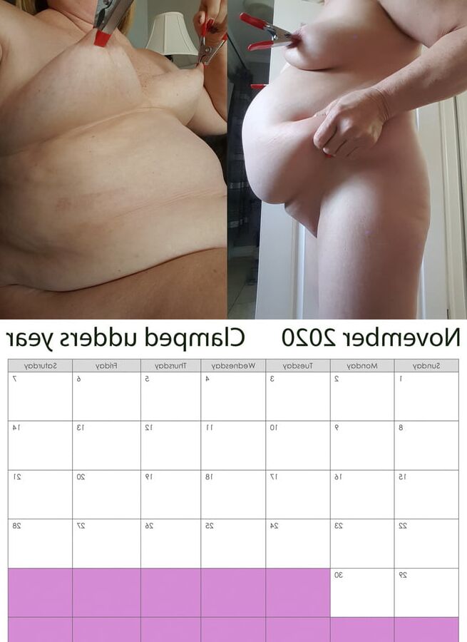 pig calendar
