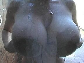 Tits on Glass