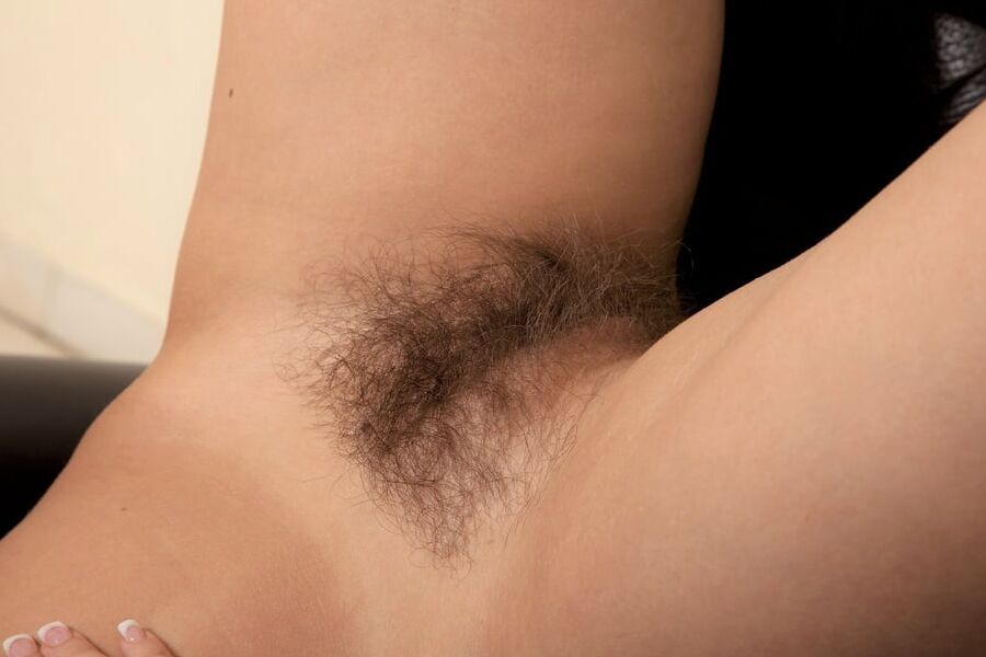 The sexy allure of hairy pussy.....
