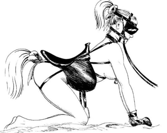 lesbian pony play art