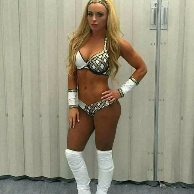 Sexy babes of pro wrestling