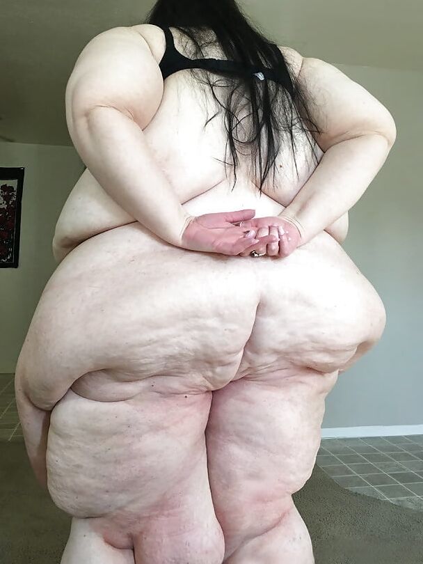 Fat Gut - No Butt