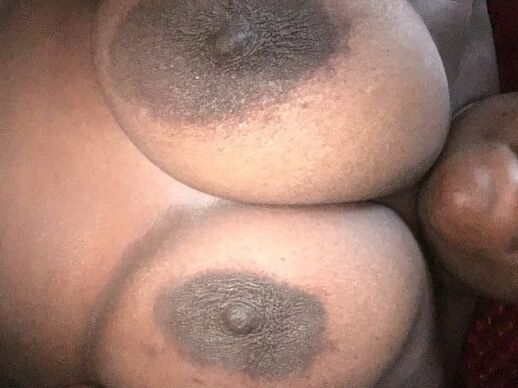 Black Tits
