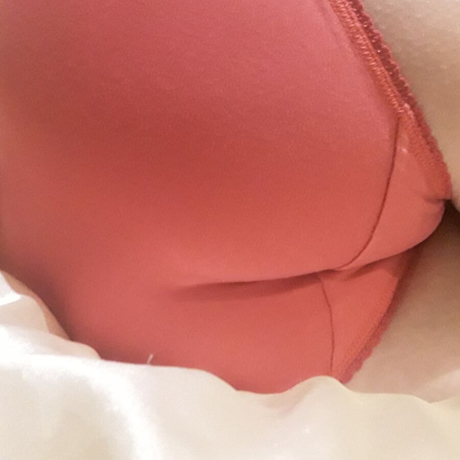 The Mrs in Red Sheer Knickers and Red Satin Wonderbra