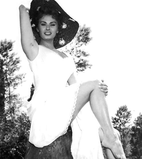 Classic Beauty : Sofia Loren