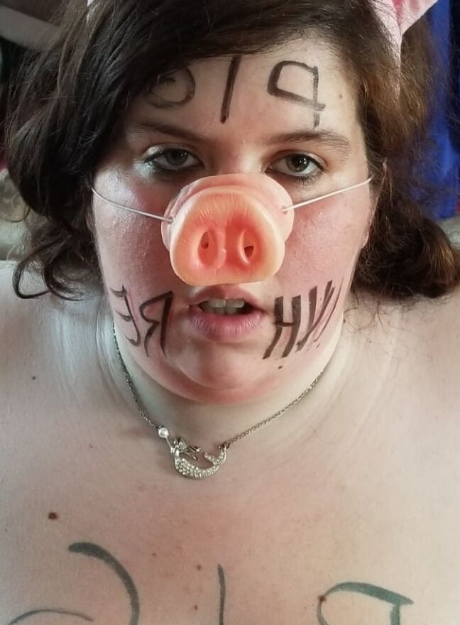Fat retarded pig