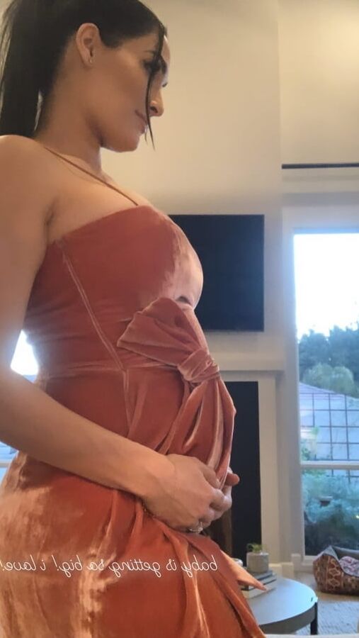 Pregnant Bella Twins ()