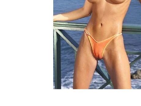 Camel Toes