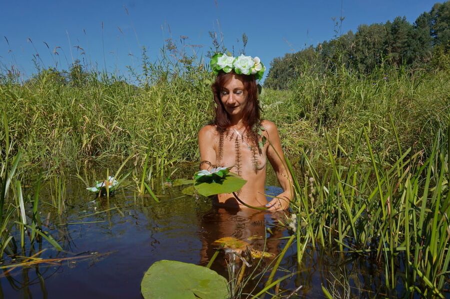 In pond with waterflowers