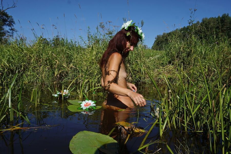 In Pond with Waterflowers