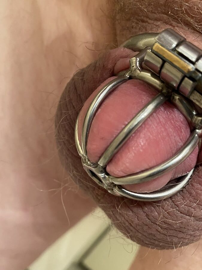 Lil dick in a little cage