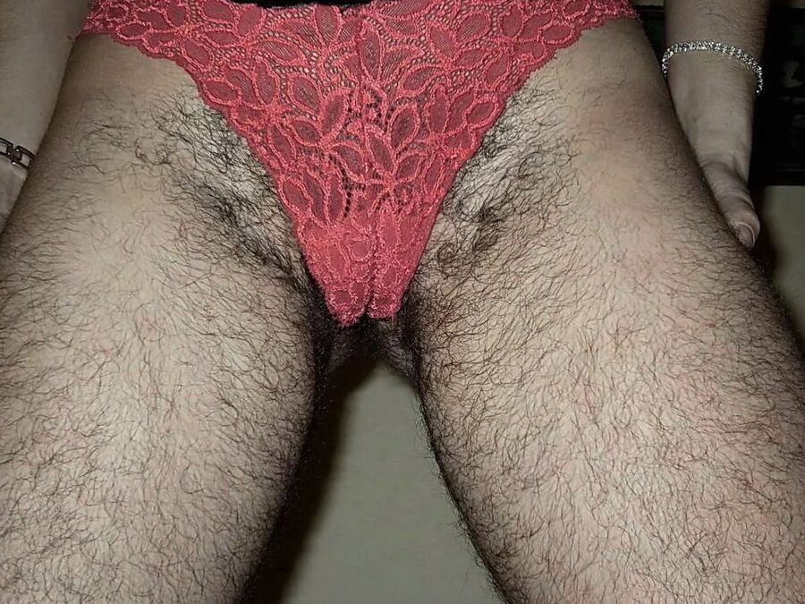 Panty bush, hairy arms, legs, pits, trails