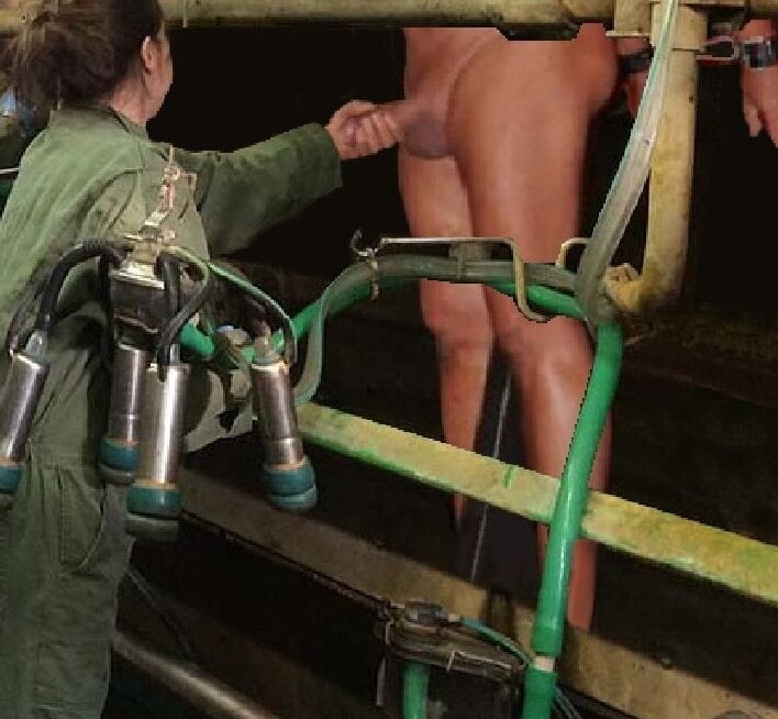 BDSM milking man