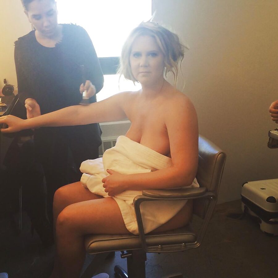 Amy schumer fakes