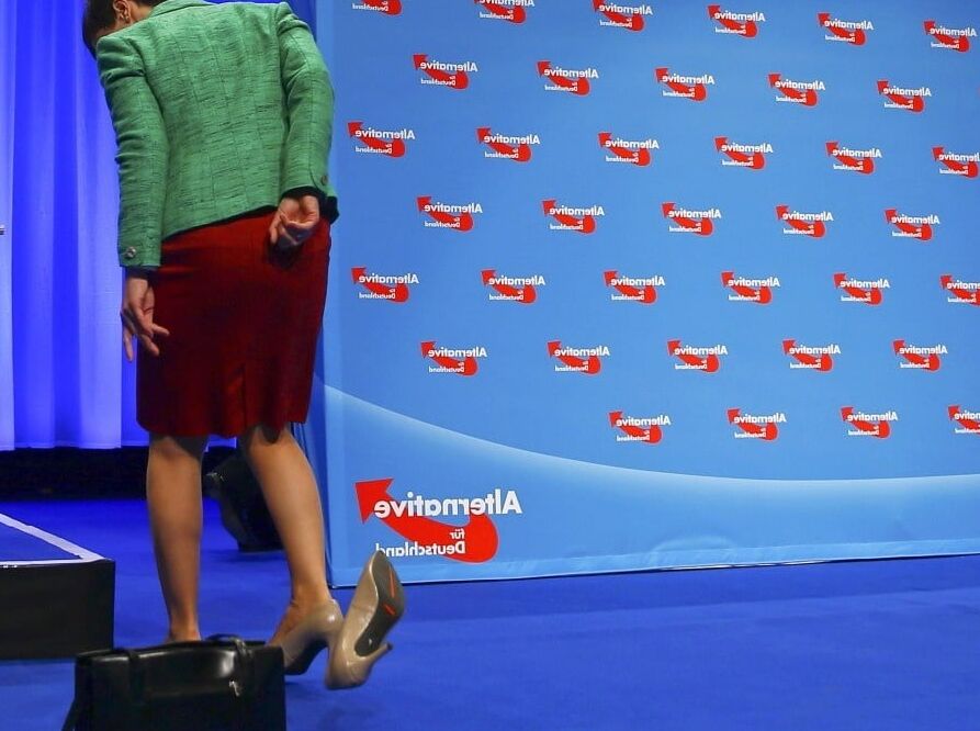 German Politician Frauke Petry