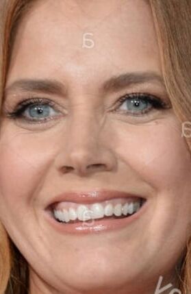 AMY ADAMS