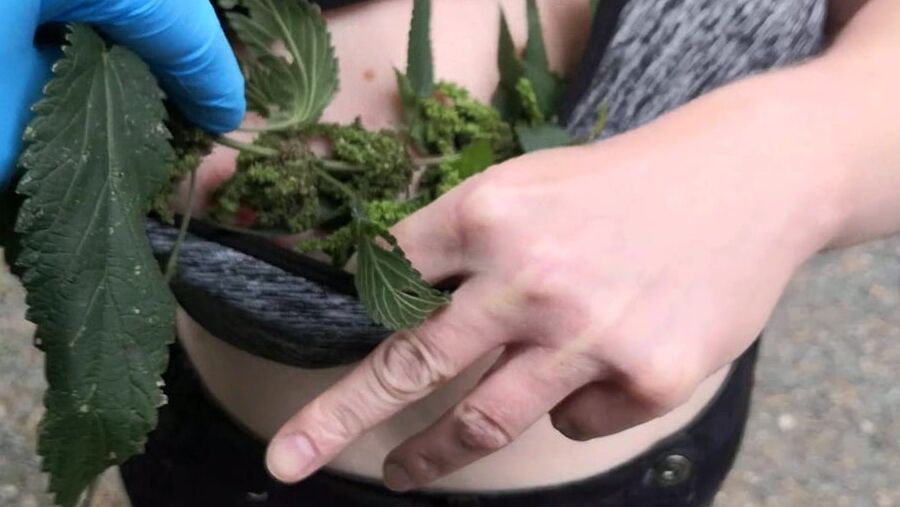 Nettles and other stuff in my bra and slip