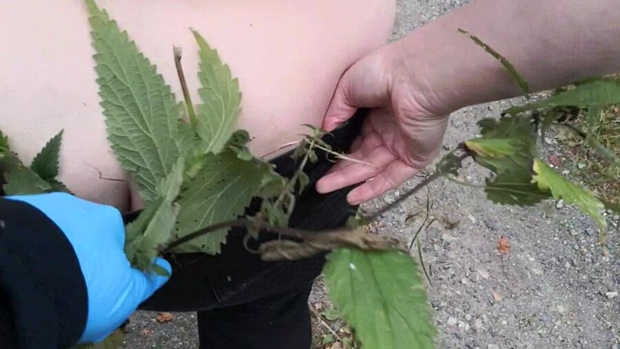Nettles and other stuff in my bra and slip