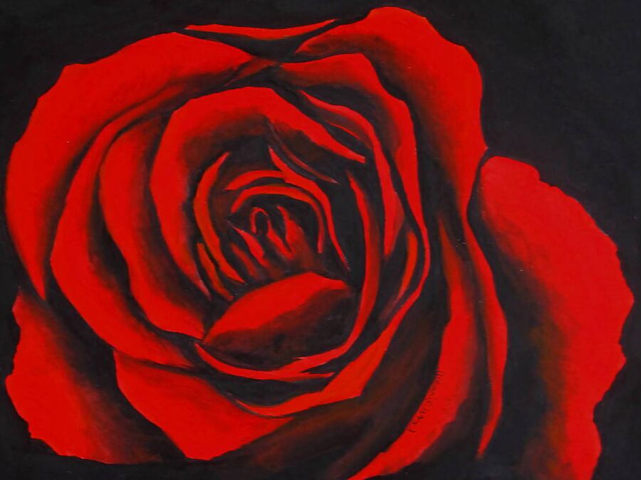 Gia - Red Rose