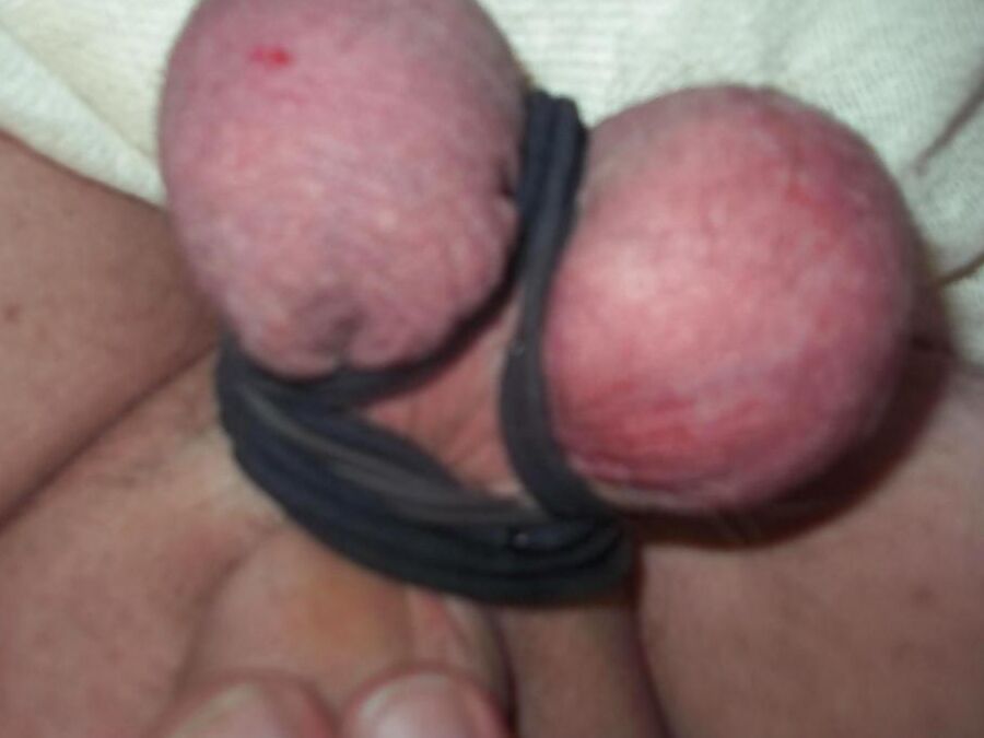 cock balls torture