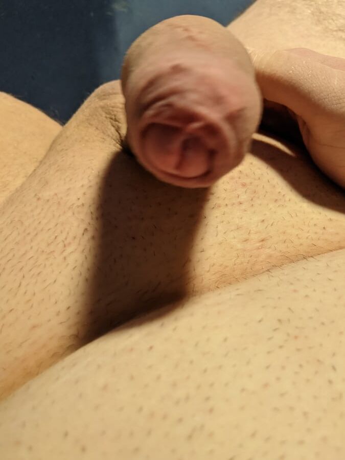 Cock Pictures who wants a lick