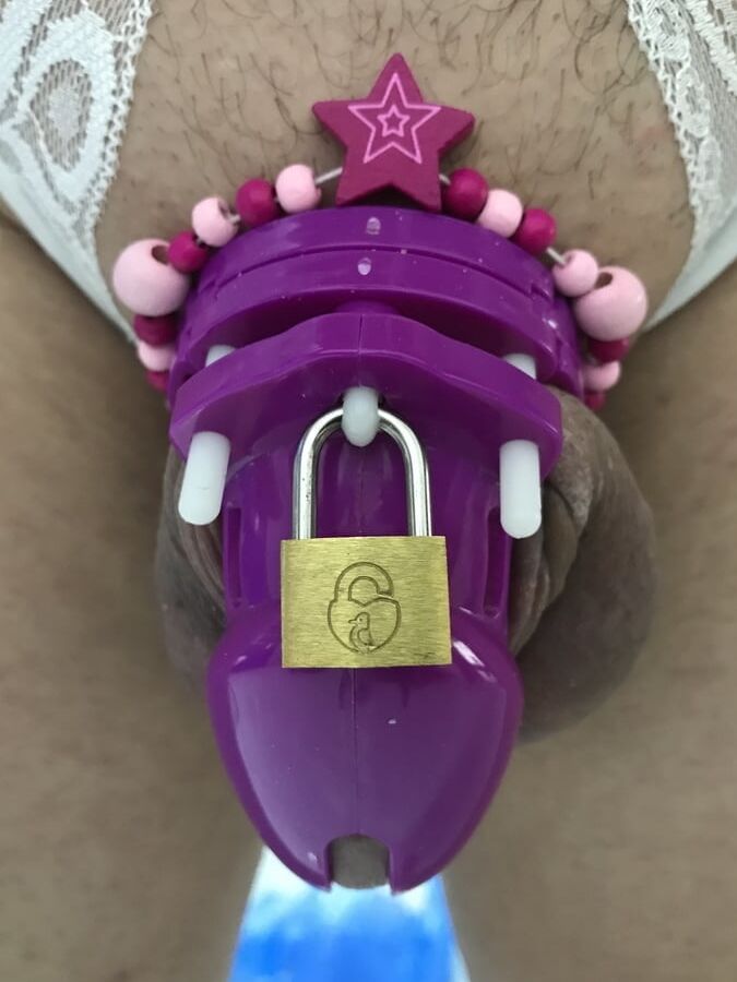 Cock cage and small cocks