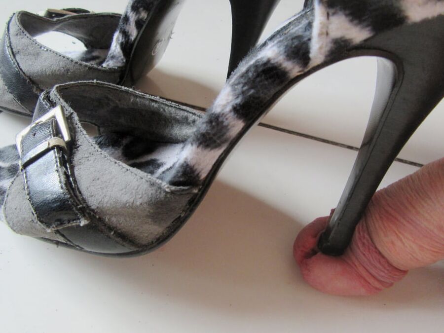 black and white tiger heels of my cougar
