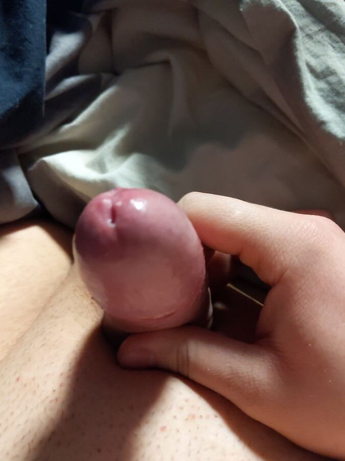 Cock Pictures ready to cum