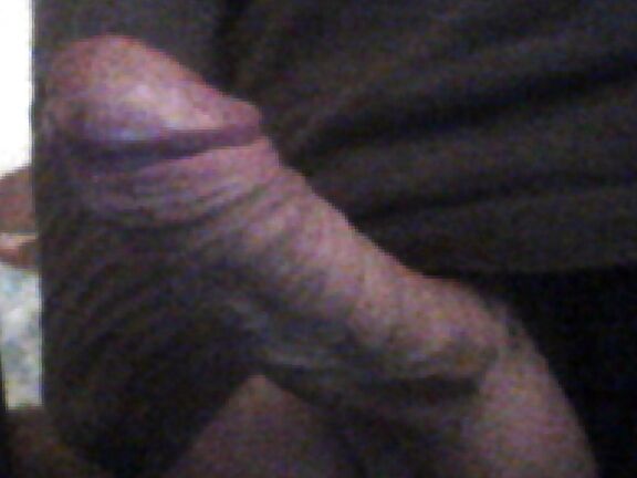 New pics, fresh shaved cock today.