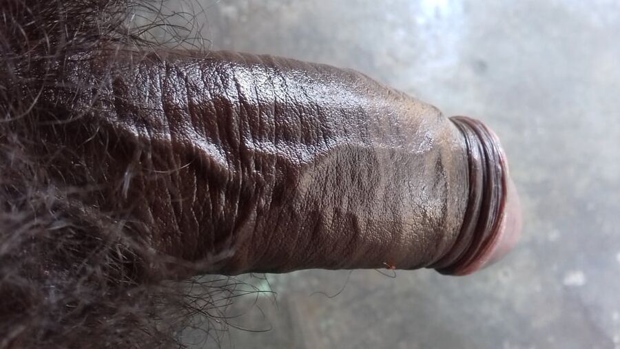 Indian cock gallery