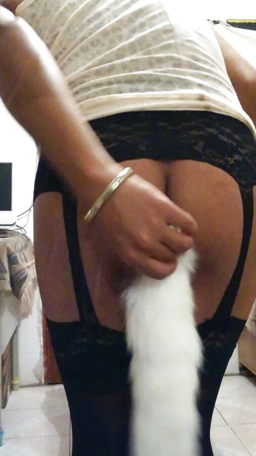 Joselynne CD And My Sexy Fox Tail