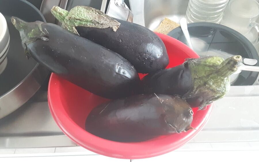 Eggplants fuck fest.