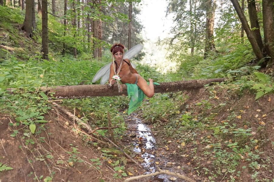 Elf on the log