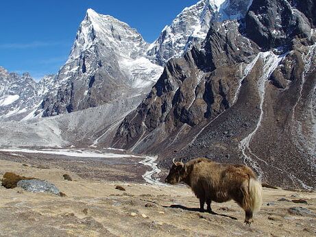 Tolle Bilder aus Nepal