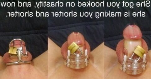 Chastity cuckold