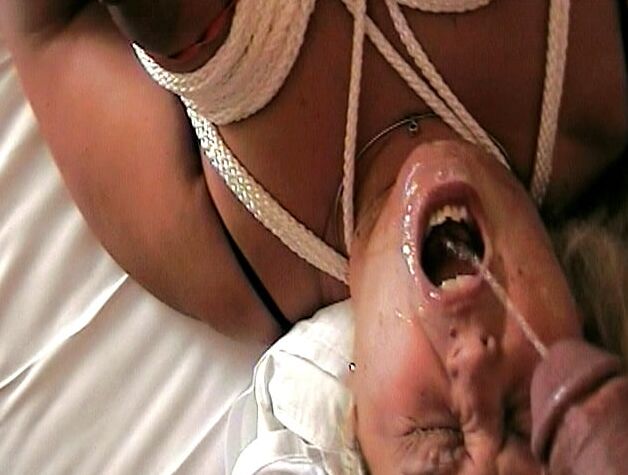 Perverted Pics