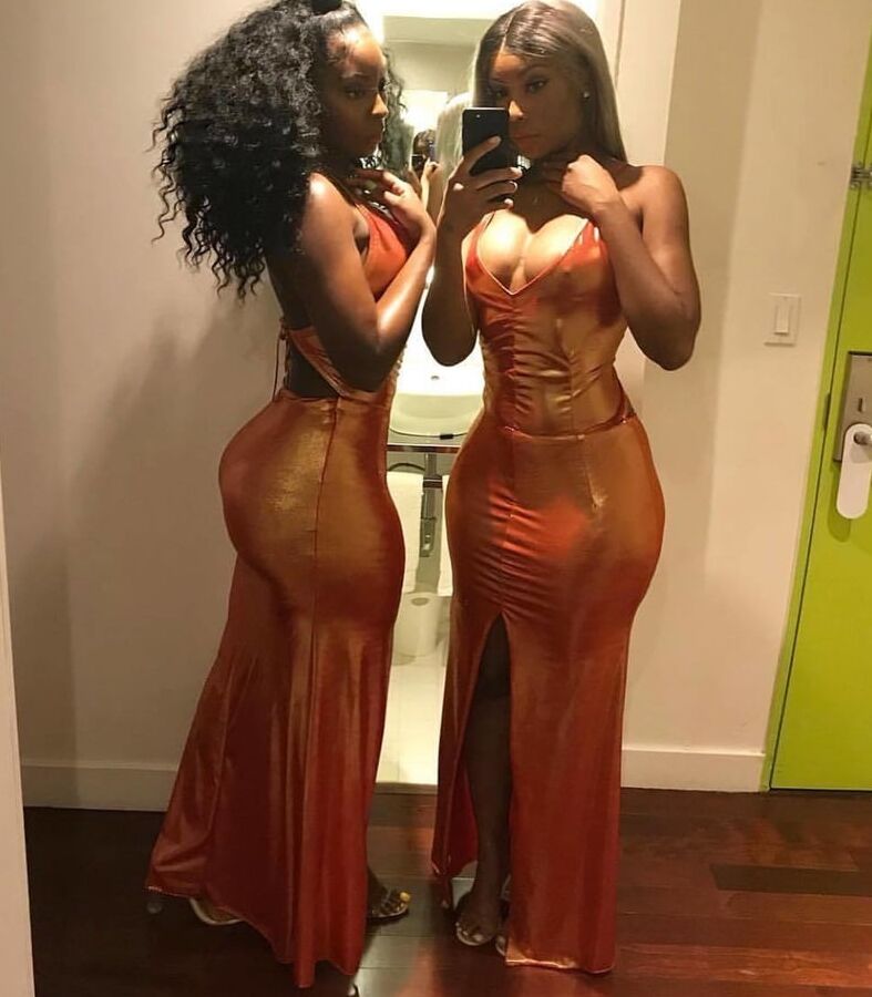 The Jungle&;s Finest Breeds