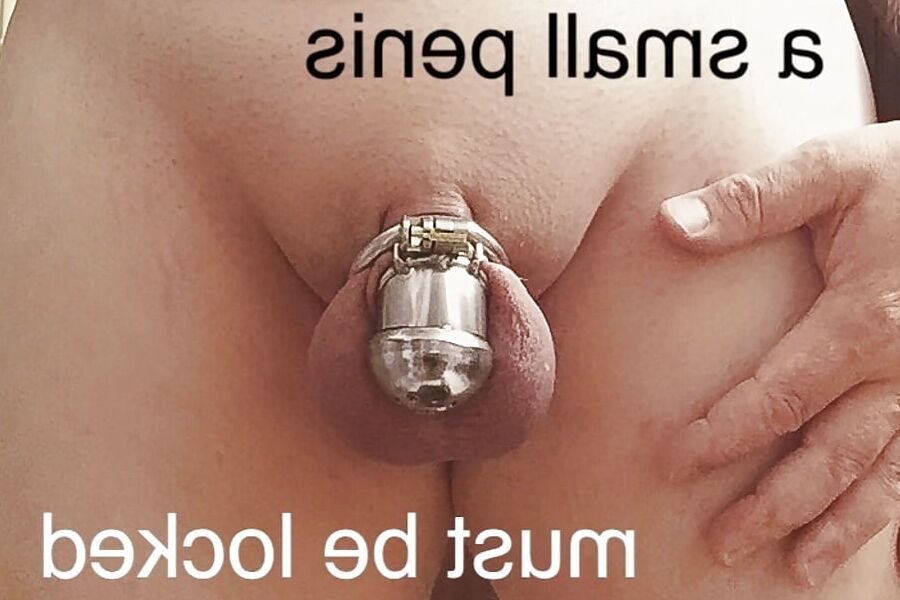 Chastity cuckold