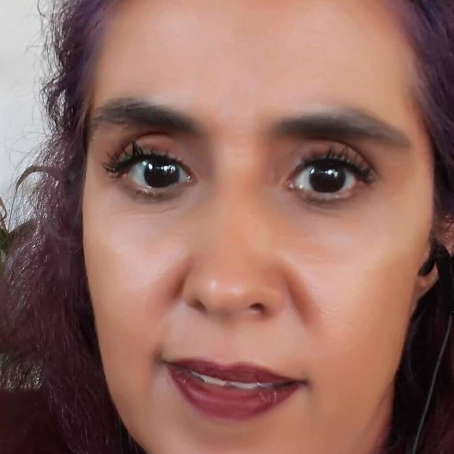 Zorra quintanarroense