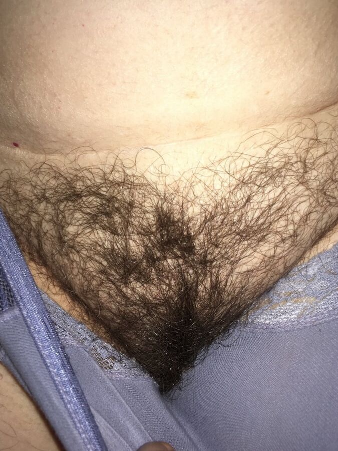 LA CHATTE POILU DE MA FEMME