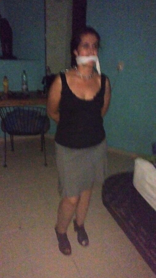 Zorra quintanarroense