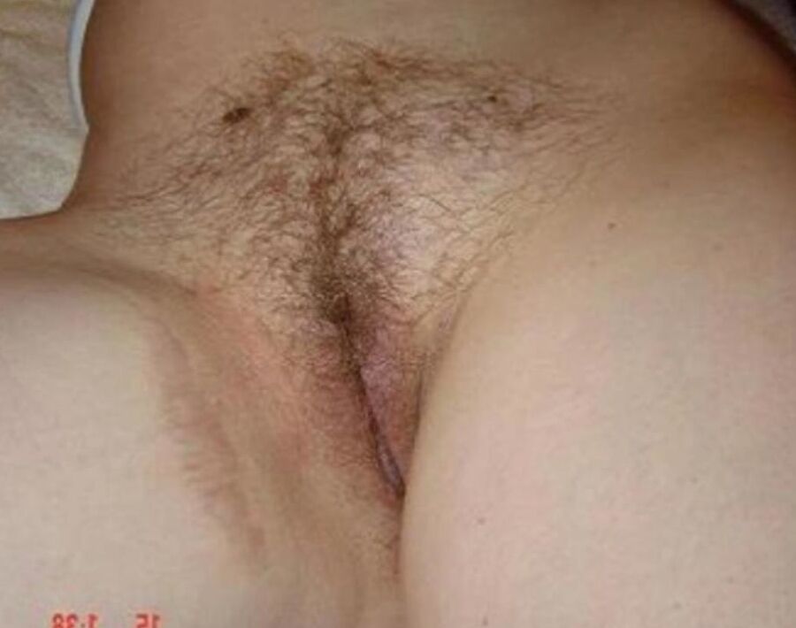 My Pussy