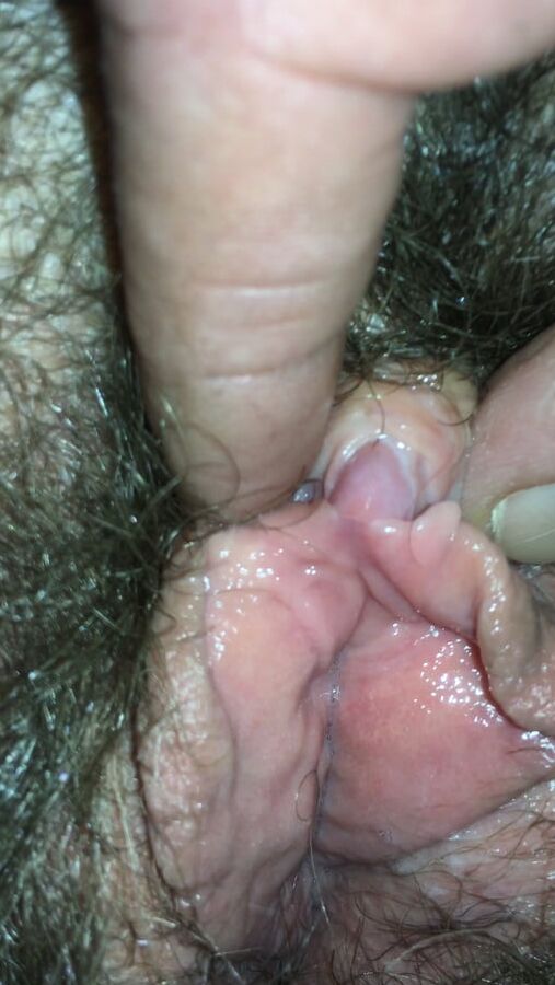LA CHATTE POILU DE MA FEMME