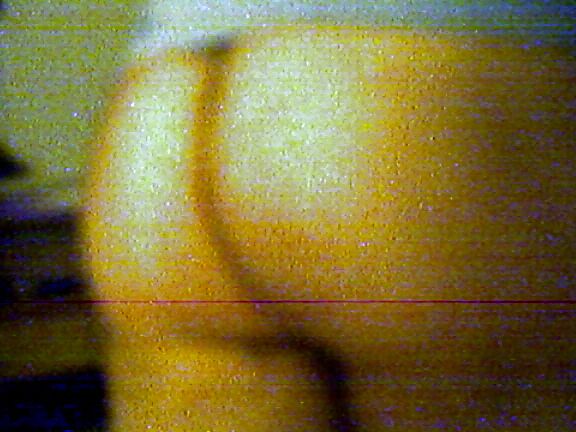 Suzi my personal old slave