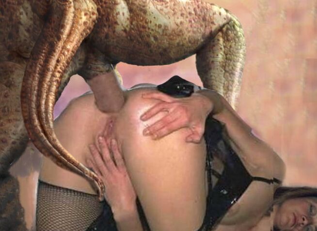 Ahornycplu