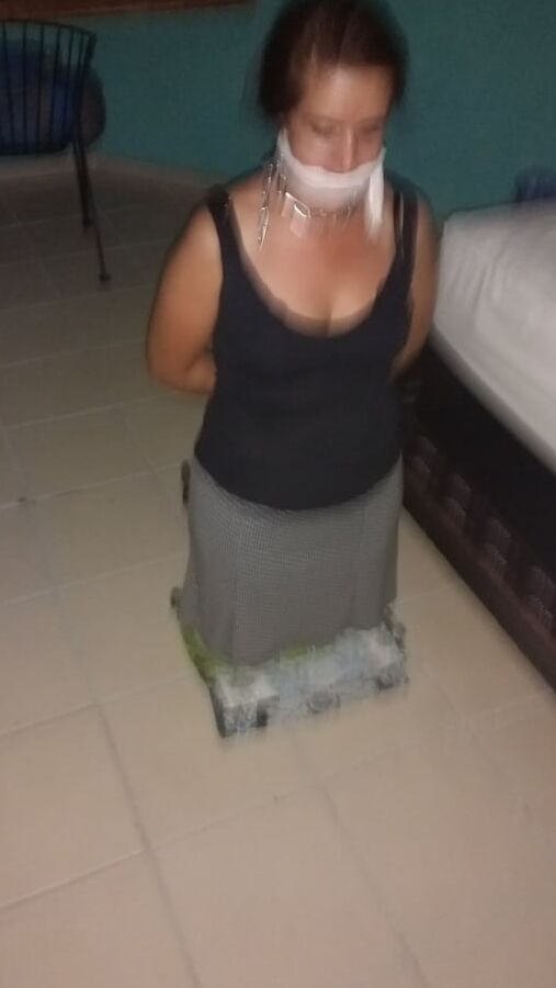 Zorra quintanarroense