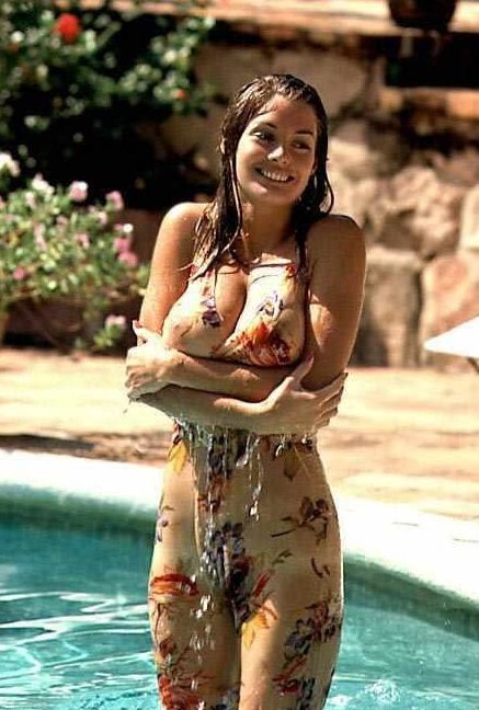 GROS SEINS