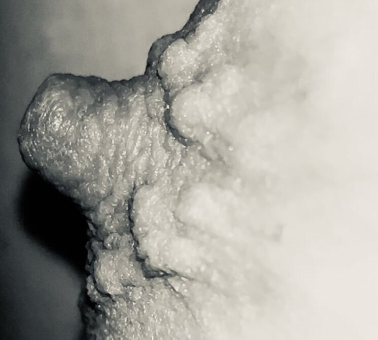 T noir