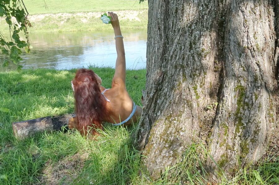 Mermaid under the Tree